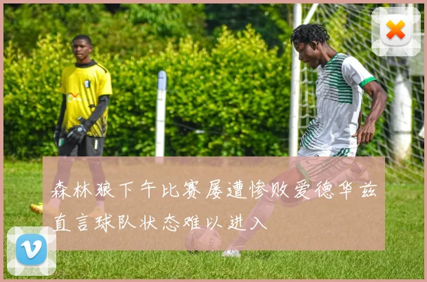 森林狼下午比赛屡遭惨败爱德华兹直言球队状态难以进入