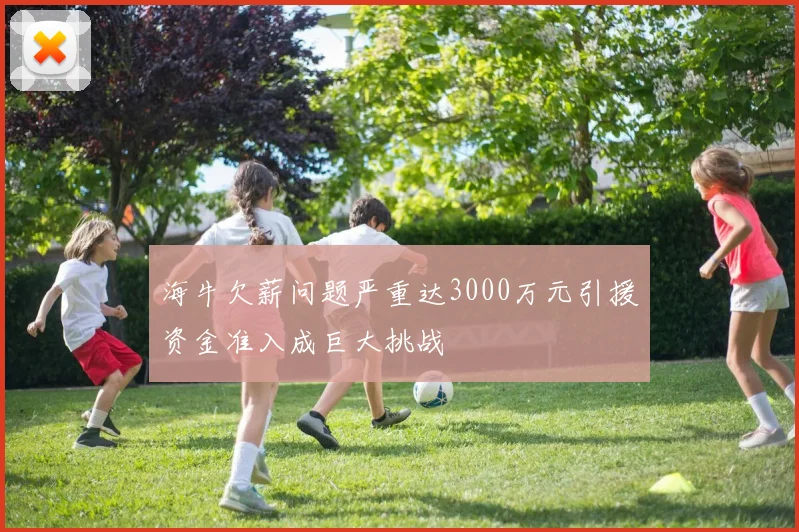 海牛欠薪问题严重达3000万元引援资金准入成巨大挑战