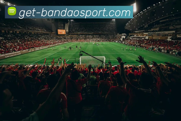 App Interface Preview