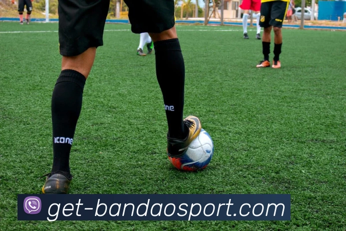 半岛体育APP 封面图